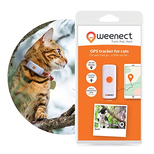 Coleira GPS para gatos - Weenect |  N ° 1 na Europa | ...