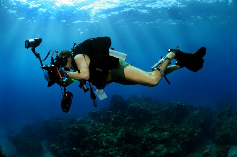 6 dicas para fotografia subaquática